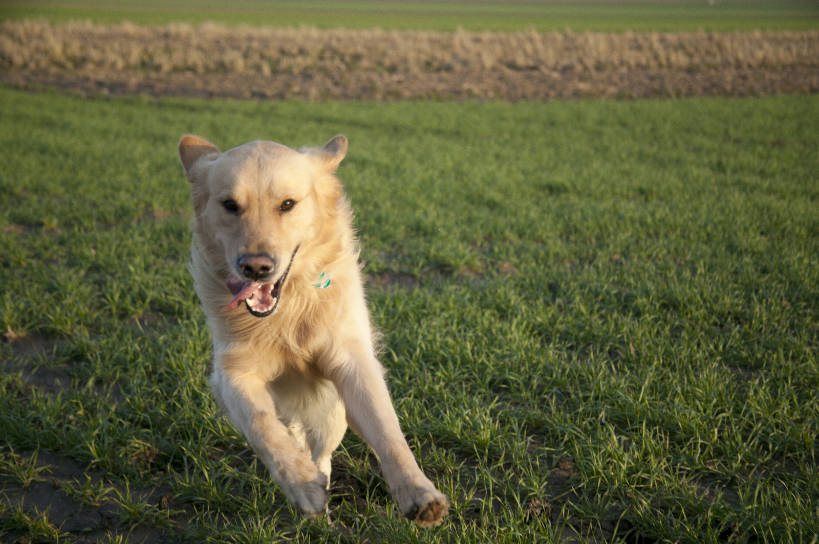 20DU8941 (283 von 410)